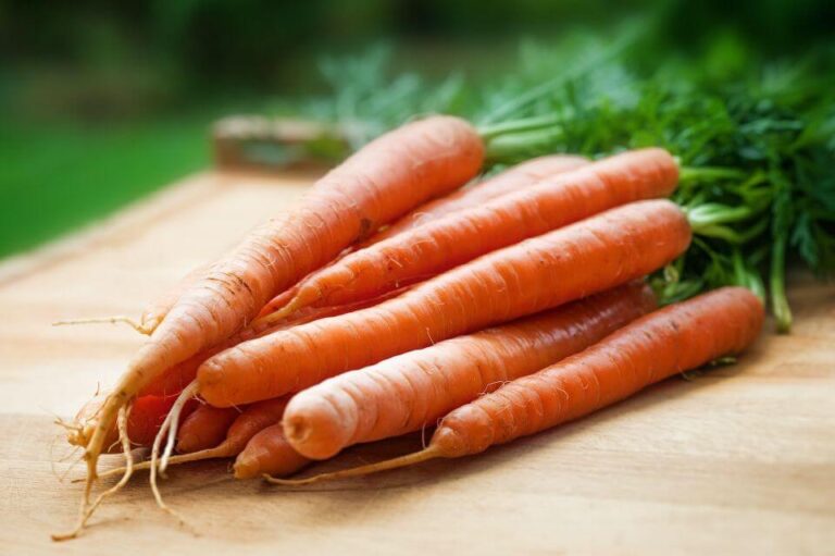 Myth and Misbeliefs about Carrots